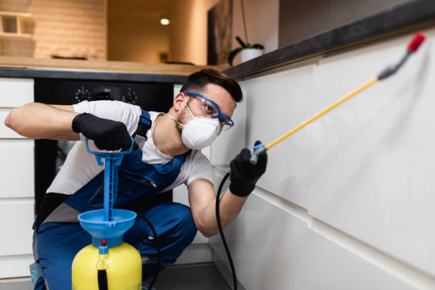 Best Pest Control Near Me  in Bayside, WI
