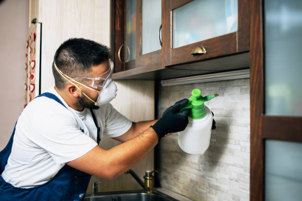 Best Cockroach Control Services  in Bayside, WI