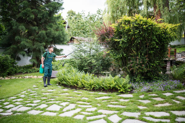 Best Exterminator Services  in Bayside, WI