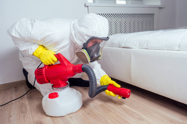 Best Affordable Pest Control Services  in Bayside, WI